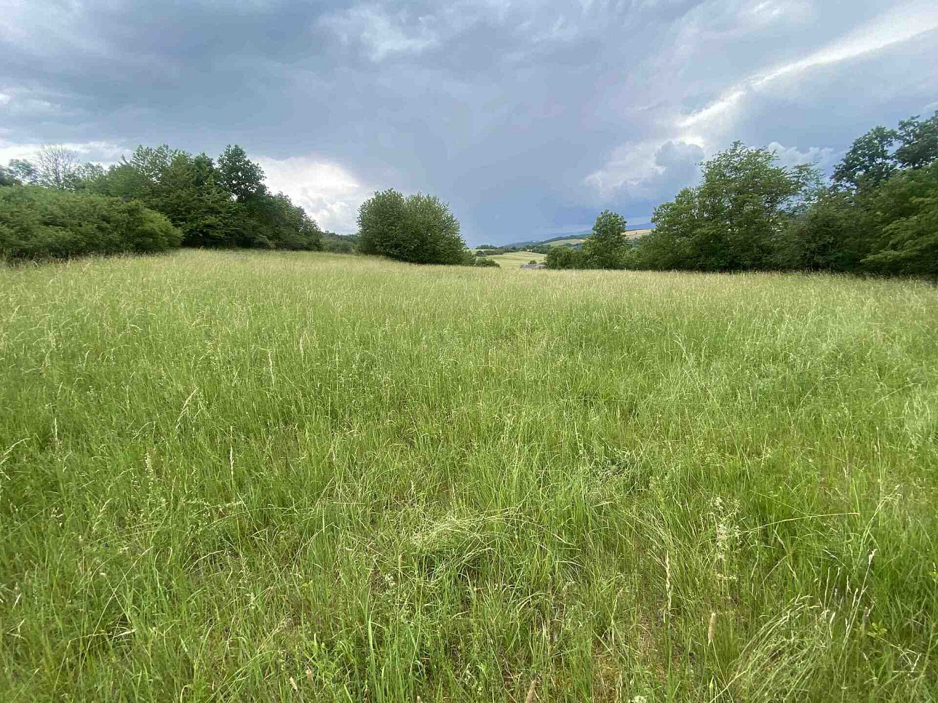 Prodej pole 10 485 m² – fotografie 2