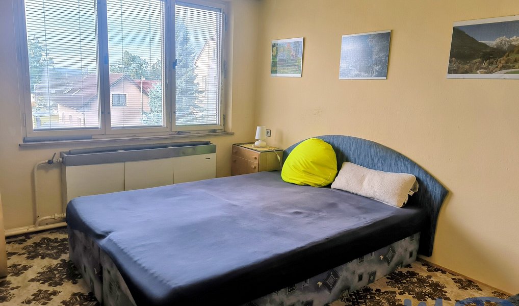 Prodej domu 114 m² s pozemkem 2 595 m², Čáslavice – náhled fotky 11