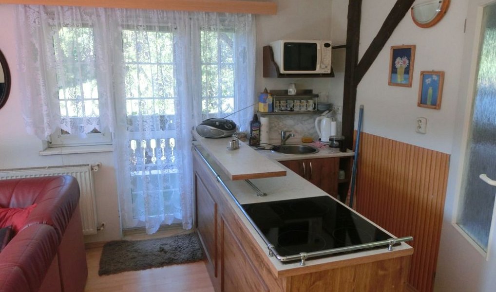 Prodej domu 175 m² s pozemkem 9 863 m², Vojkovice – náhled fotky 12