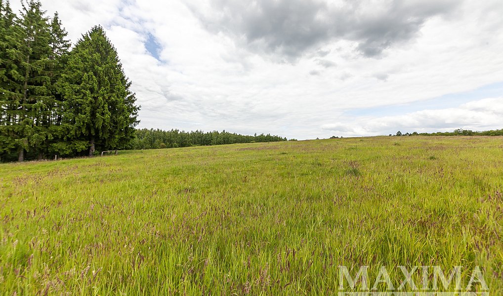 Prodej pole 14 573 m², Višňová – náhled fotky 15