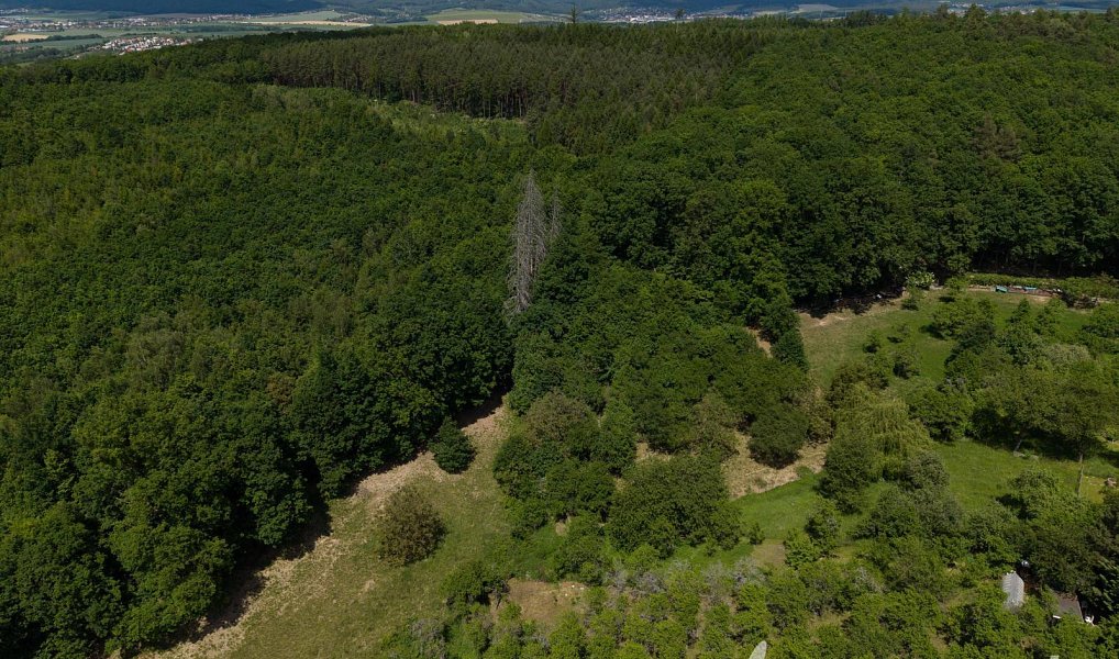 Prodej louky 3 131 m², Zlín – náhled fotky 3
