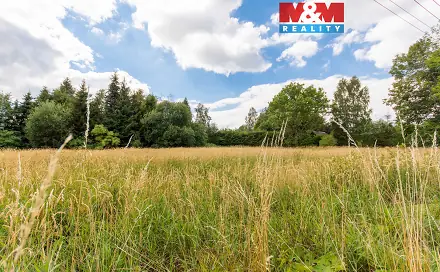 Prodej stavebního pozemku 2 903 m², Světlá Hora - Dětřichovice, okres Bruntál