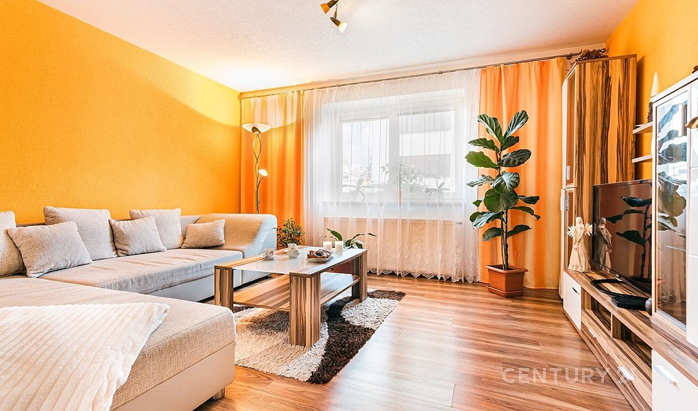 Prodej domu 197 m² s pozemkem 319 m², Rajhradice – náhled fotky 4