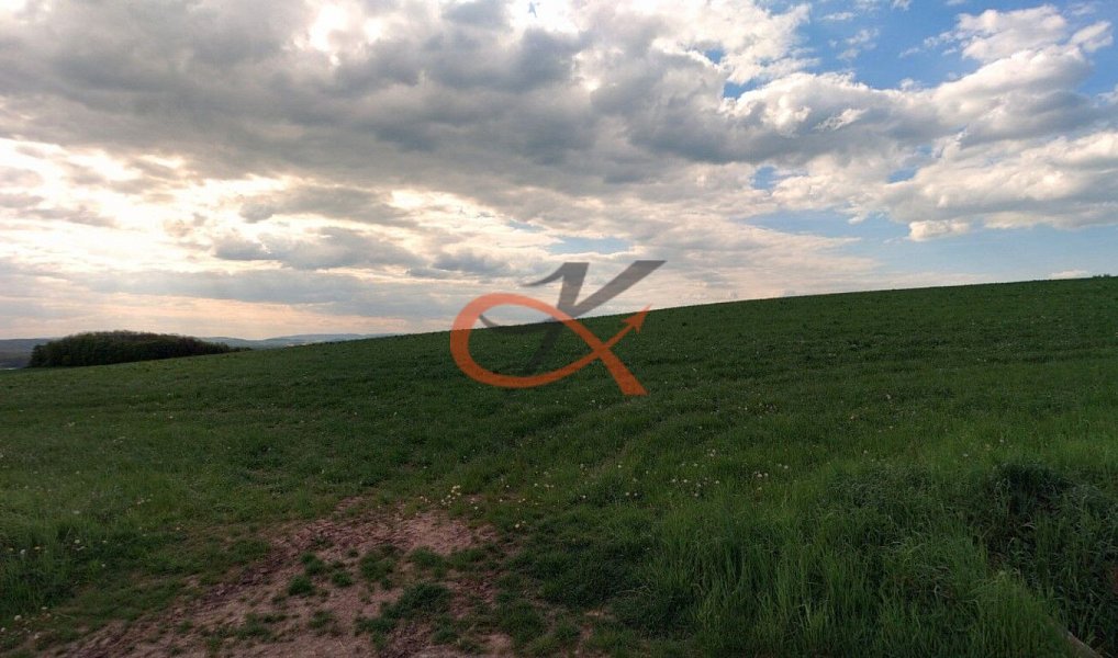 Prodej pole 2 192 m², Lešná – náhled fotky 3