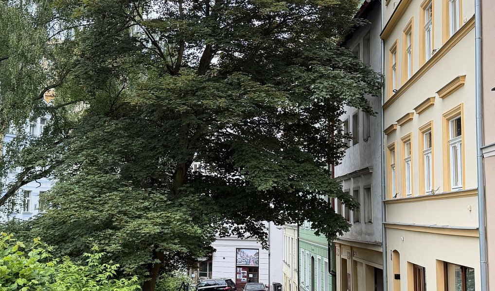 Pronájem bytu 2+kk 66 m², Karlovy Vary – náhled fotky 12
