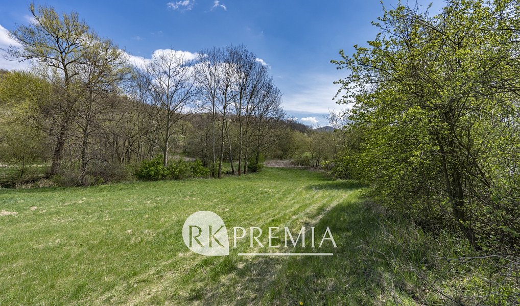 Prodej zahrady 4 353 m², Bžany – náhled fotky 6