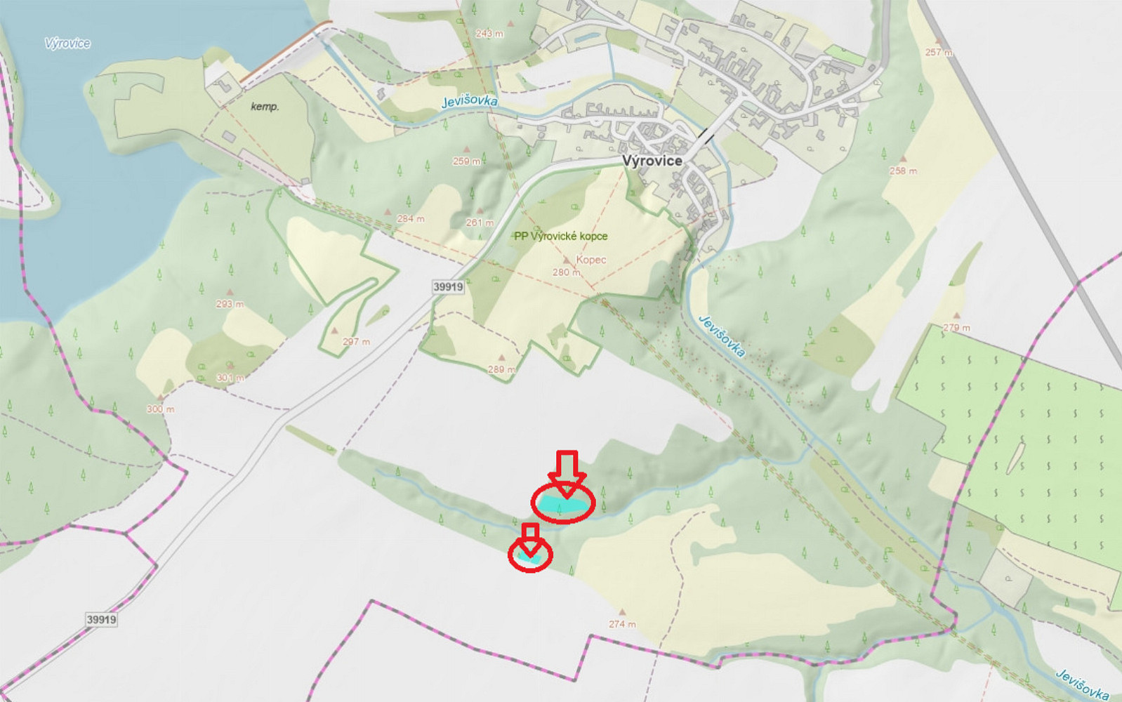 Prodej lesa 1 459 m²