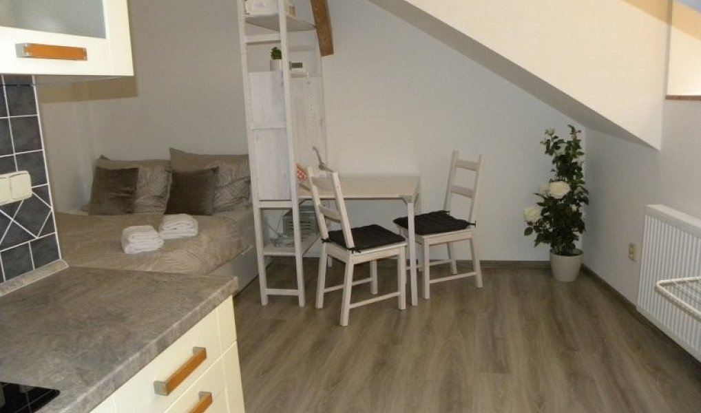 Pronájem bytu 1+kk 24 m², Jihlava – náhled fotky 5