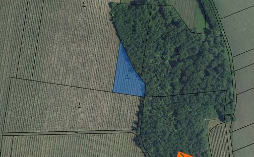 Prodej pozemku 996 m², Novosedly, okres Břeclav