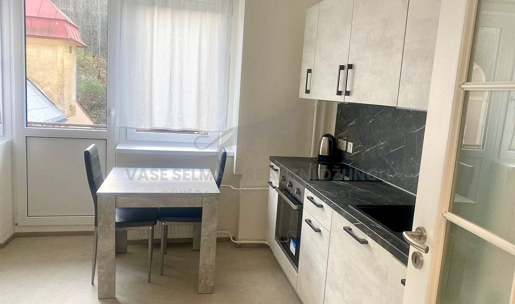 Pronájem bytu 1+kk 32 m², Jáchymov – náhled fotky 4