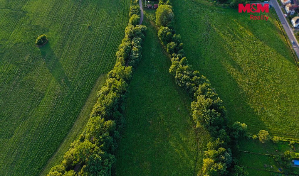 Prodej louky 4 590 m², Horní Bříza – náhled fotky 24