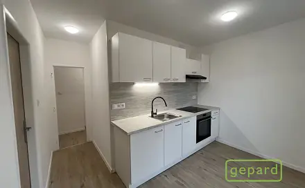 Pronájem bytu 2+1 53 m², Ruská, Litvínov - Horní Litvínov, okres Most