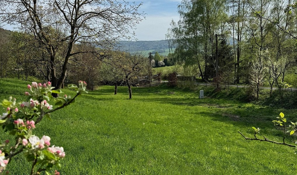 Prodej stavebního pozemku 3 412 m², Žandov – náhled fotky 7
