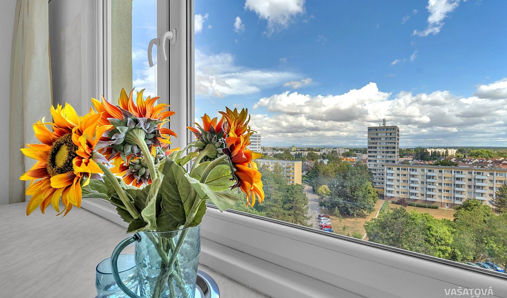 Prodej bytu 3+1 66 m², Hradec Králové – náhled fotky 15