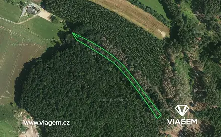 Prodej lesa 1 508 m², Boskovice, okres Blansko