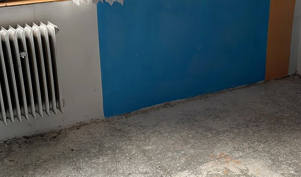 Prodej domu 114 m² s pozemkem 54 m², Valšov – náhled fotky 25