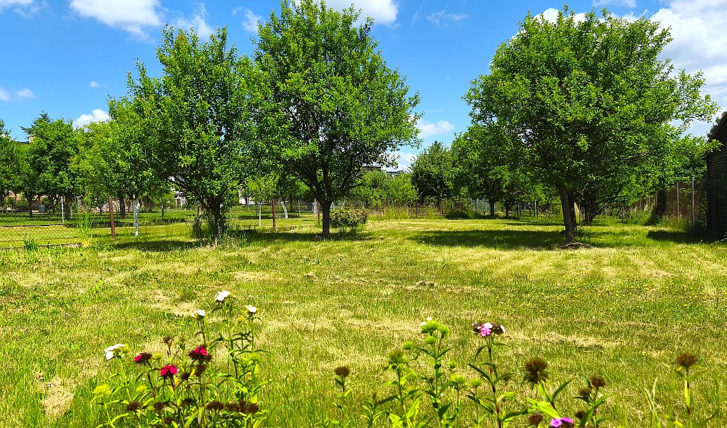 Prodej domu 300 m² s pozemkem 1 830 m², Racková – náhled fotky 37