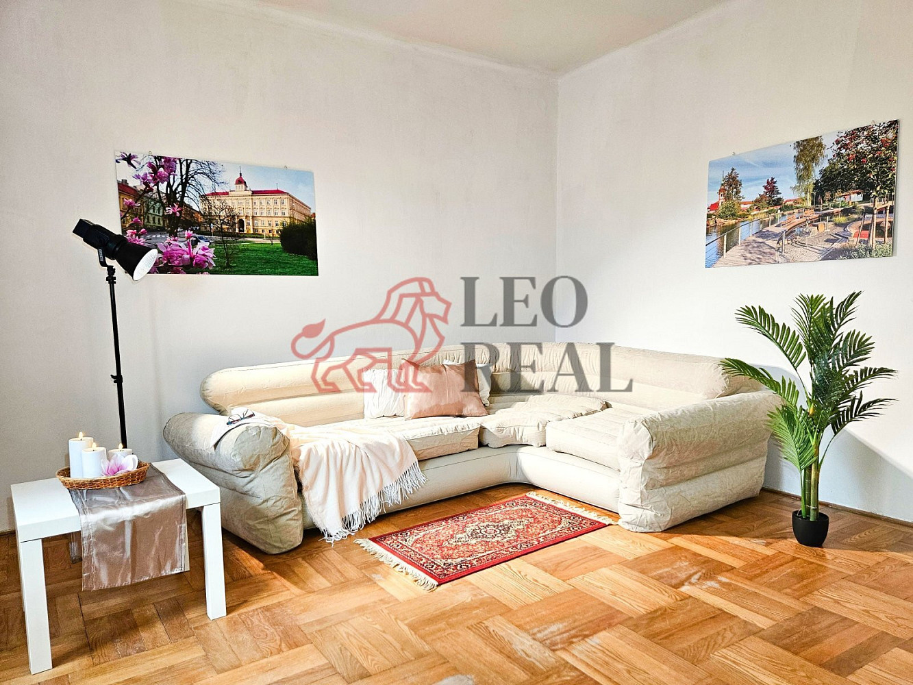 Fotka 6 z 12