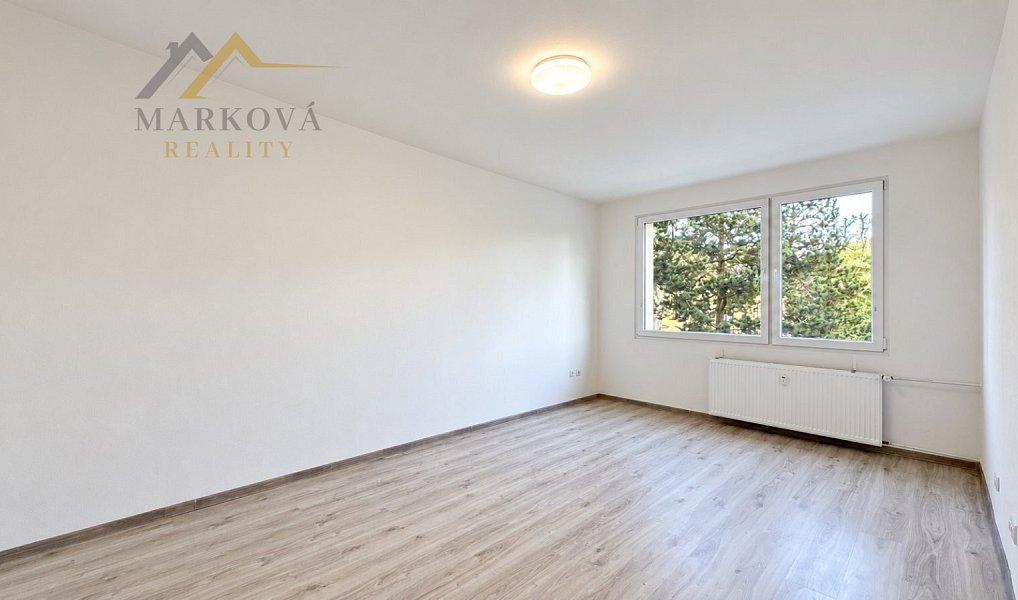 Pronájem bytu 1+1 45 m², Bechyně – náhled fotky 4