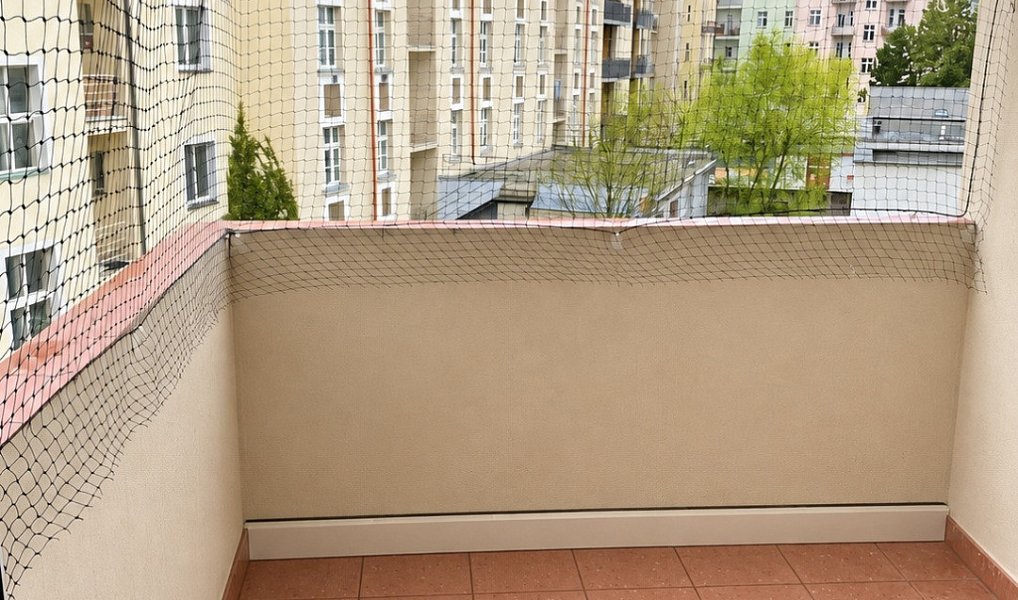 Pronájem bytu 3+1 98 m², Hradec Králové – náhled fotky 19