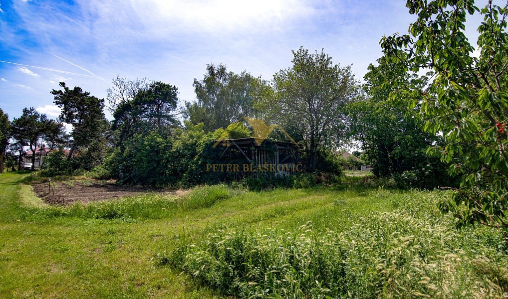 Prodej domu 125 m² s pozemkem 2 783 m², Hrabětice – náhled fotky 4