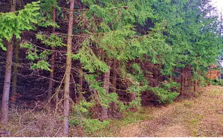 Dražba pole 28 423 m², Šumperk