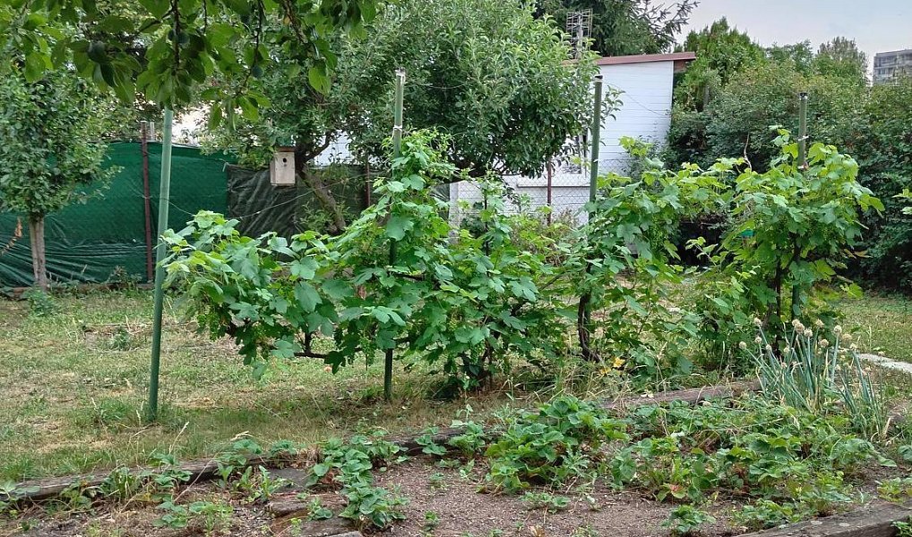 Prodej domu 20 m² s pozemkem 180 m², Kladno – náhled fotky 7