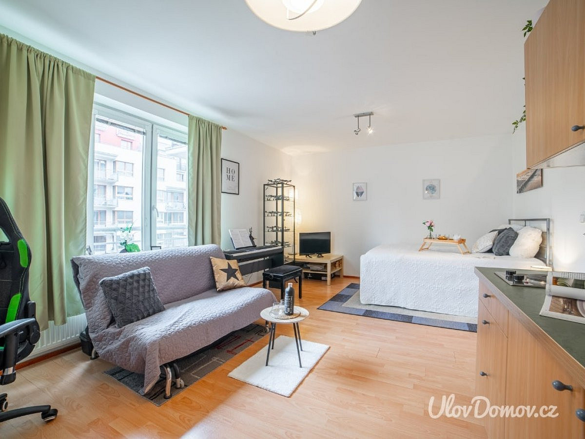 Pronájem bytu 1+kk 33 m²