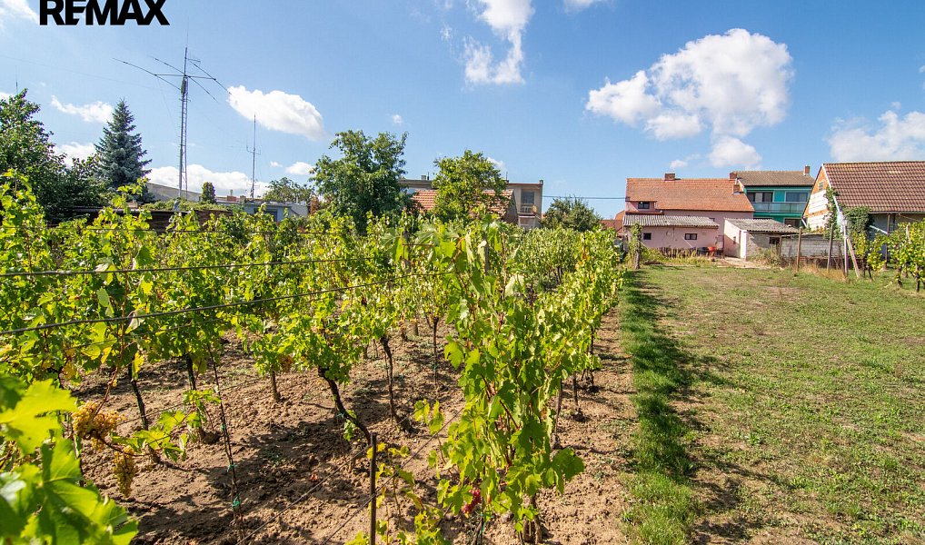Prodej stavebního pozemku 1 623 m², Tvrdonice – náhled fotky 6