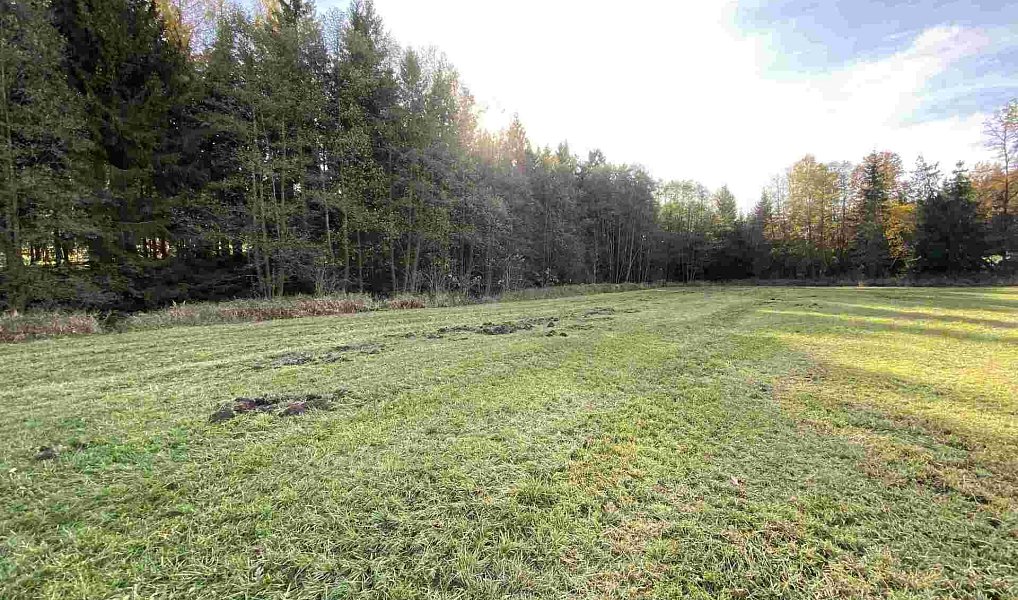 Prodej pole 10 862 m², Blatná – náhled fotky 6