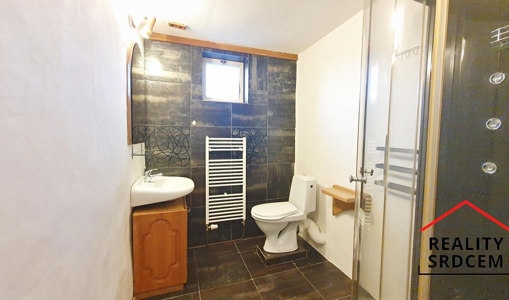 Pronájem bytu 1+1 52 m², Frýdek-Místek – náhled fotky 10