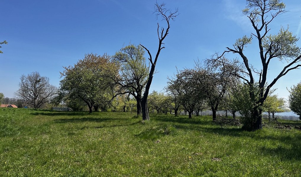 Prodej pozemku 7 559 m², Horní Újezd – náhled fotky 9