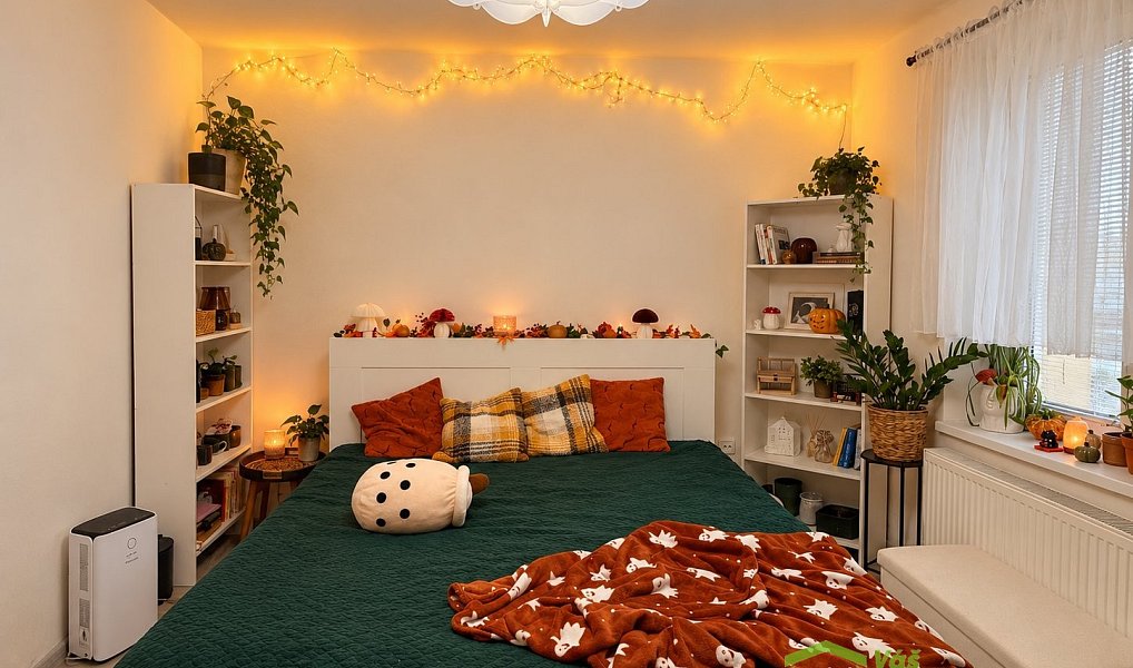 Prodej bytu 1+1, 33 m², Předměstí, Opava