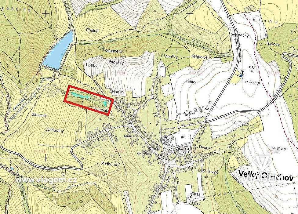 Prodej lesa 2 756 m² – fotografie 3