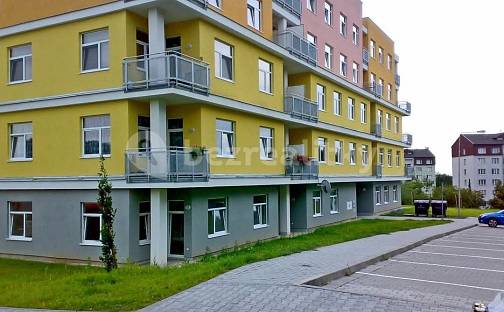 Prodej bytu 2+kk 48 m², Lesní, Milovice - Mladá, okres Nymburk