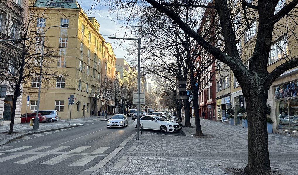 Prodej bytu 4+1 141 m², Praha – náhled fotky 25