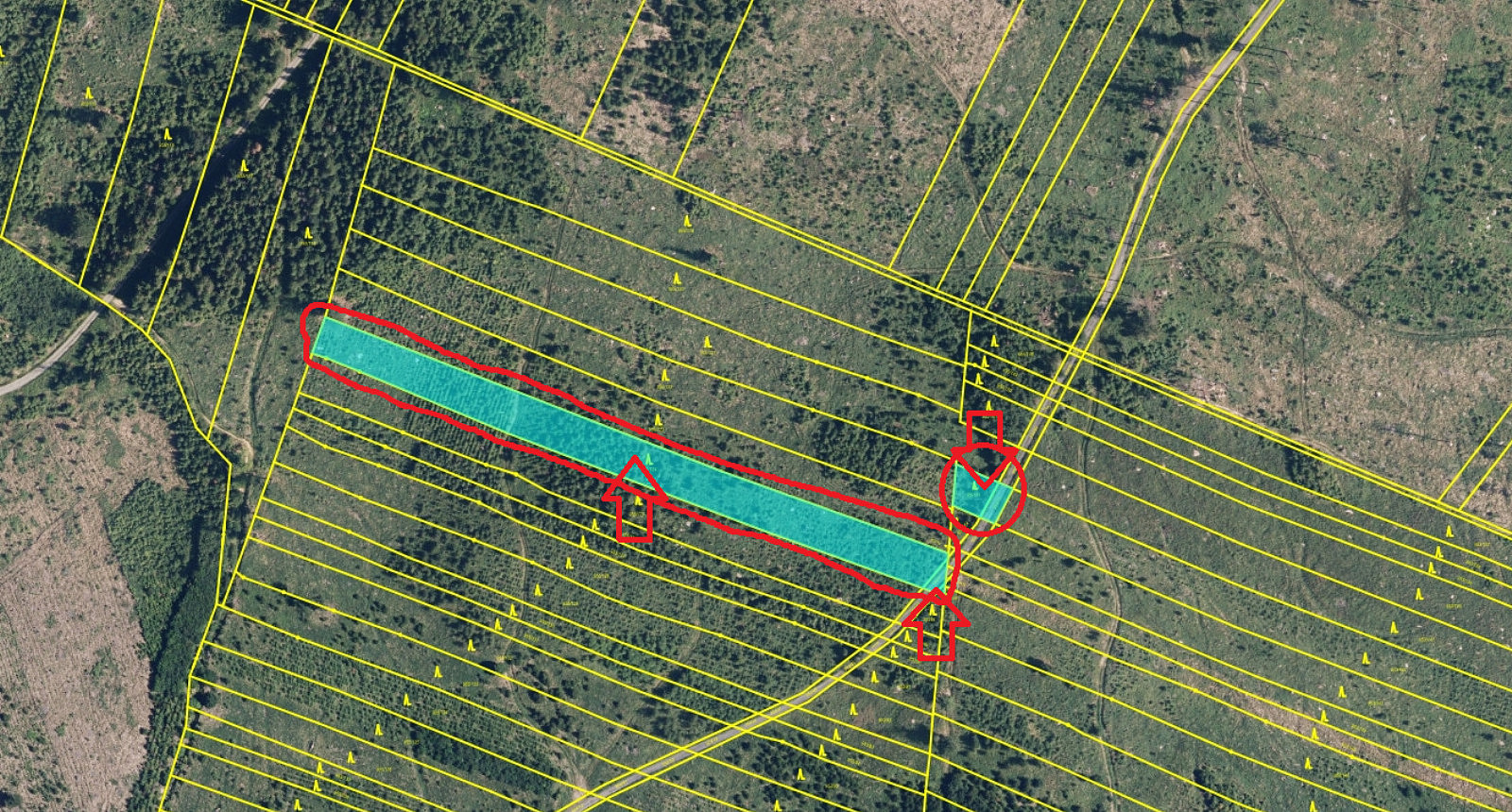 Prodej lesa 2 498 m² – pohled 4