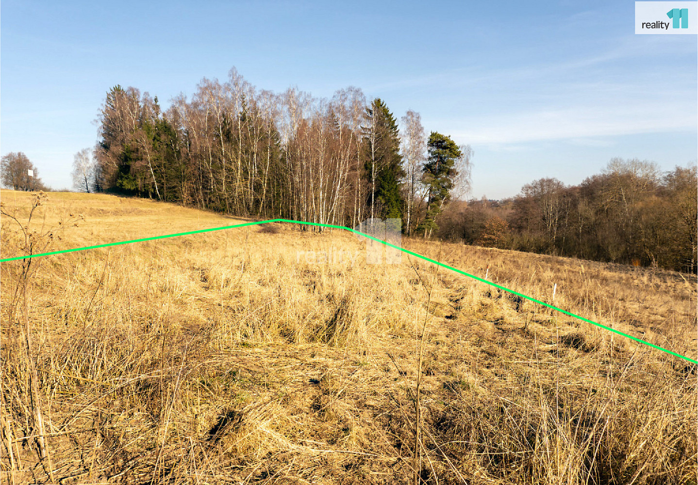 Prodej pole 1 389 m² — photo 4