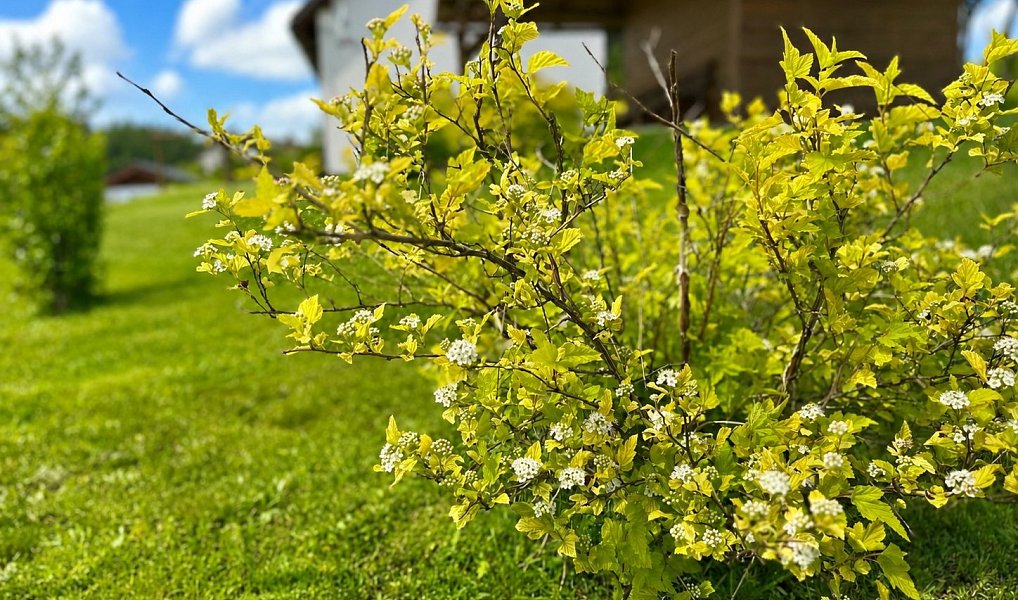 Prodej ubytovacího objektu 145 m², Branná – náhled fotky 6