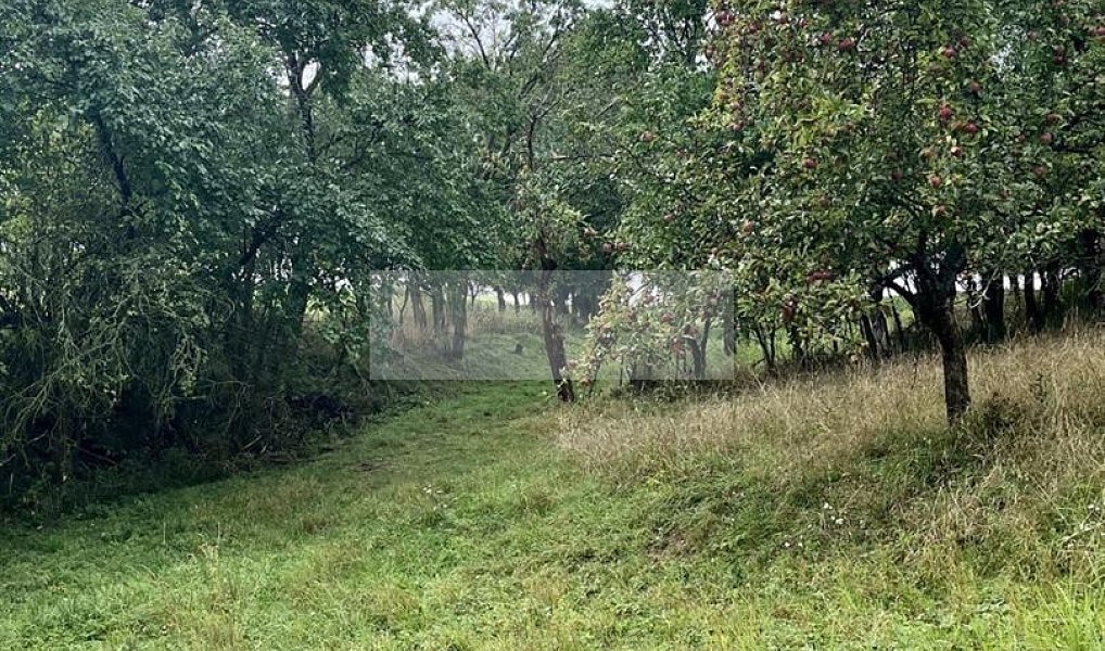 Prodej pozemku 11 900 m², Velké Všelisy – náhled fotky 21