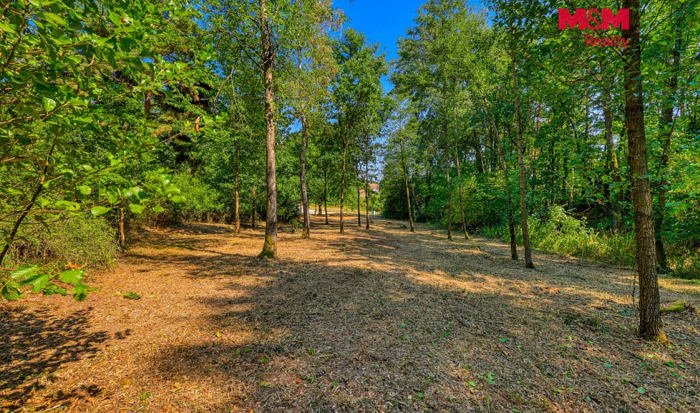 Prodej zahrady 2 248 m², Velký Bor – náhled fotky 2