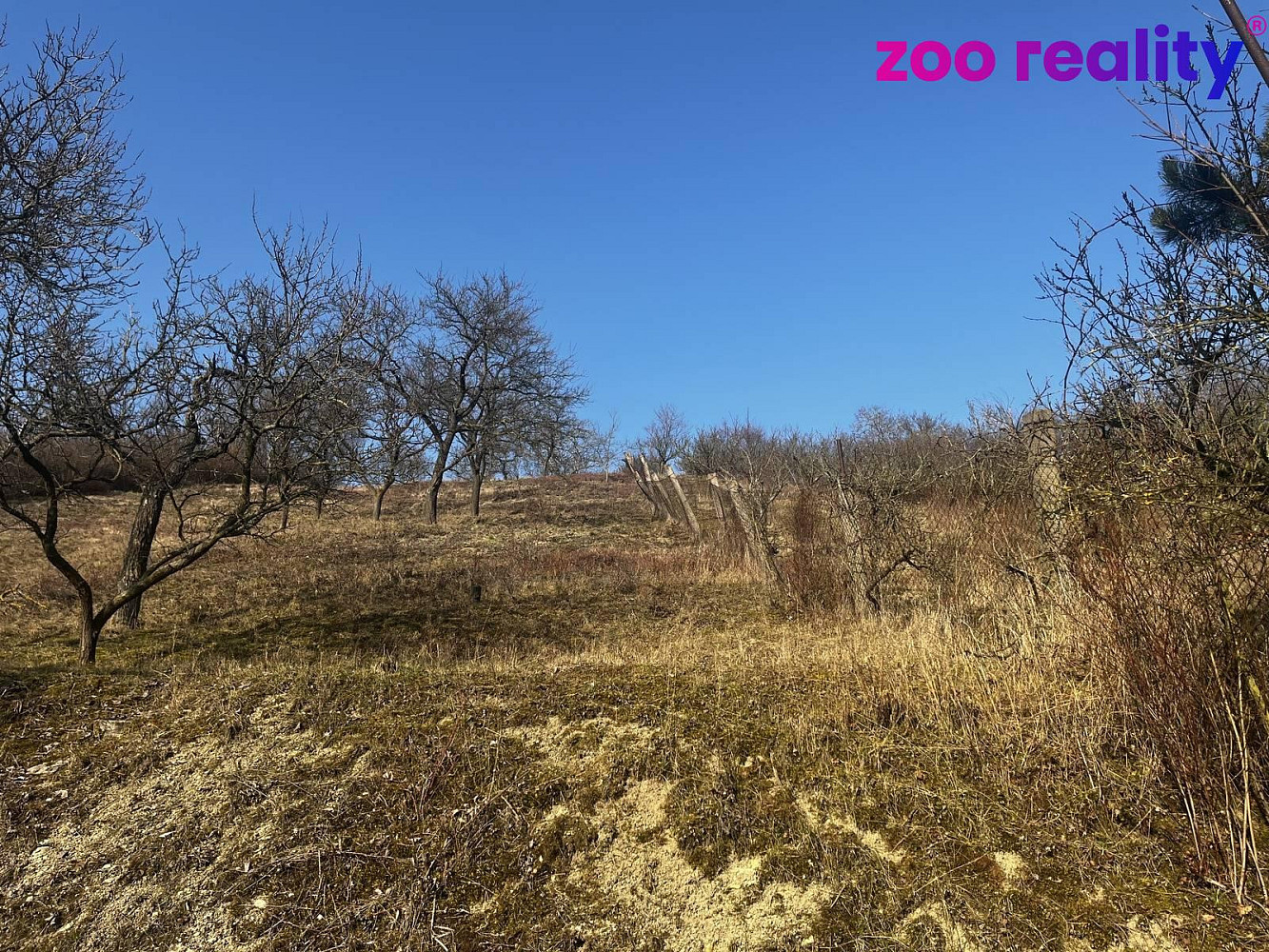 Fotka 16 z 19