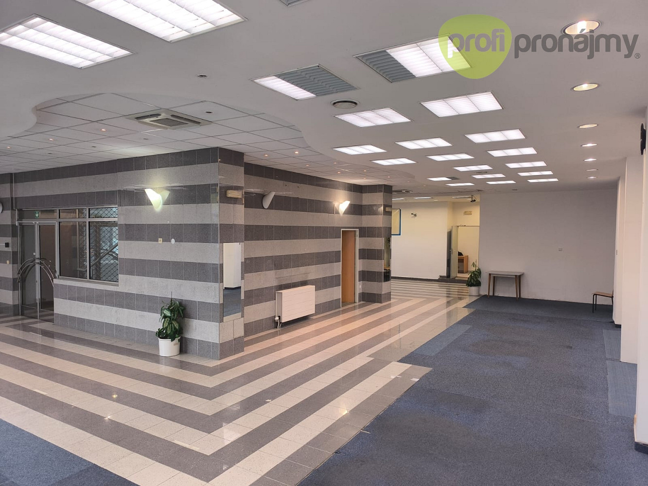 Pronájem obchodních prostor 170 m² – fotografie 4
