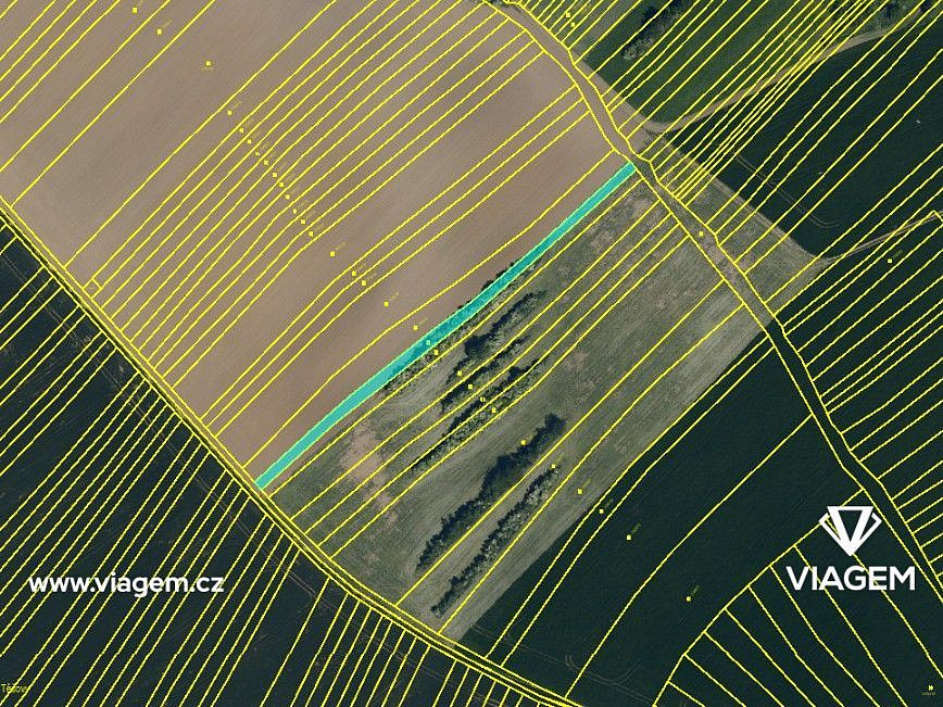 Prodej pole 1 385 m² – fotografie 3