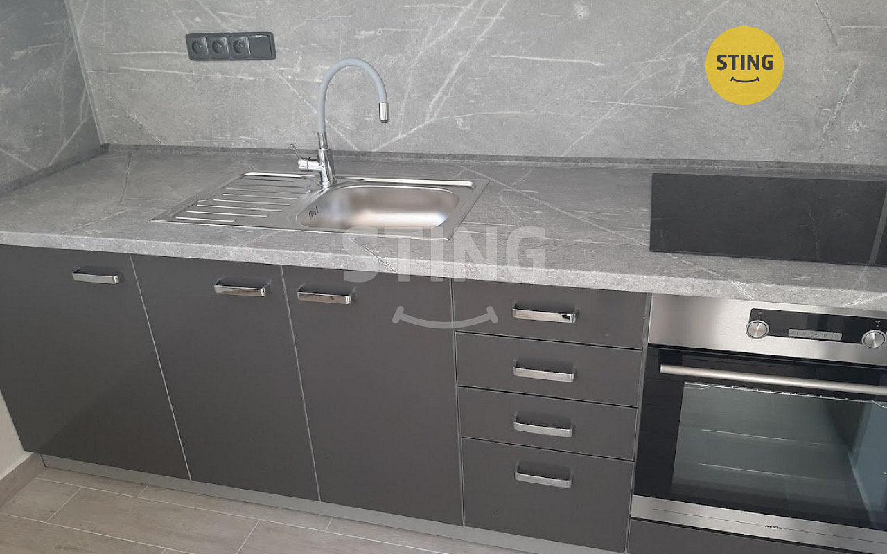 Pronájem bytu 1+1 43 m²