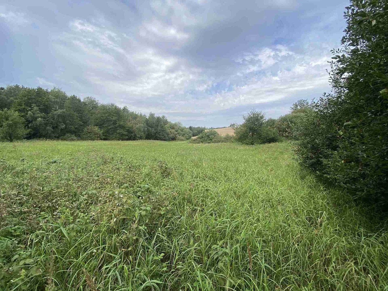 Prodej pozemku 4 446 m² – fotografie 3
