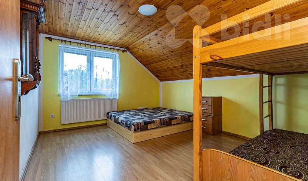 Prodej komerčního objektu (jiného typu) 302 m², Javorník – náhled fotky 38