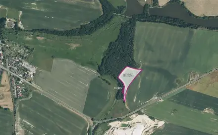 Prodej pole 14 739 m², Bor - Skviřín, okres Tachov