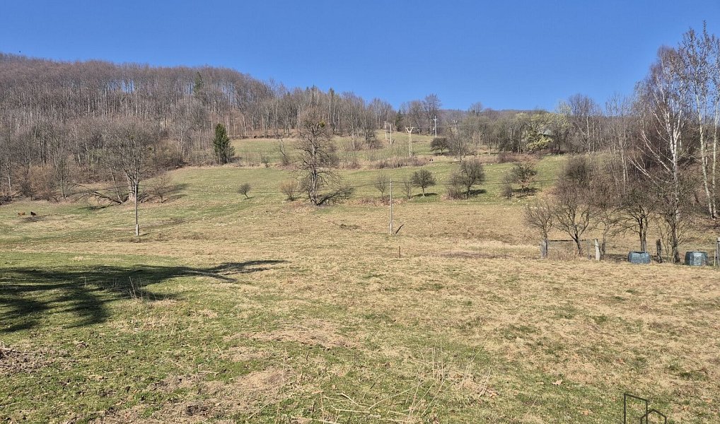 Prodej stavebního pozemku 2 189 m², Košařiska – náhled fotky 7