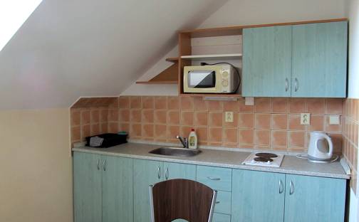 Pronájem bytu 1+1 45 m², Přemyslovců, Ostrava - Mariánské Hory